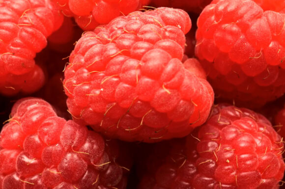 Everyday Objects In Macro.png