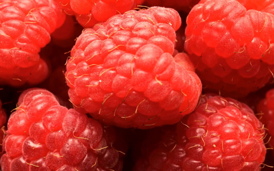 Everyday Objects In Macro.png