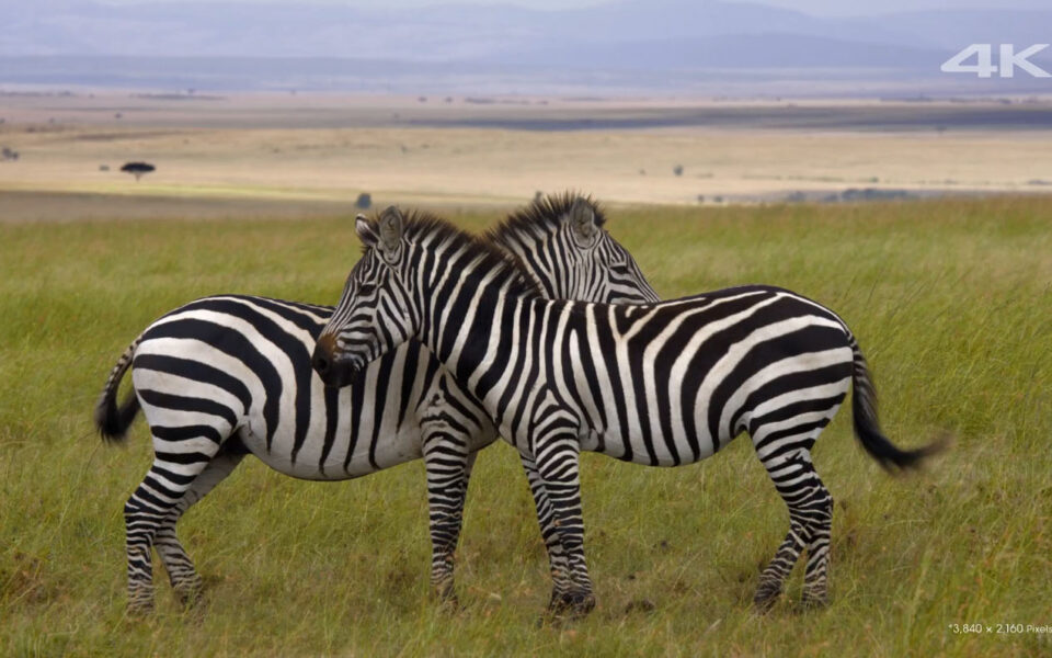 Sony Another World 2.png