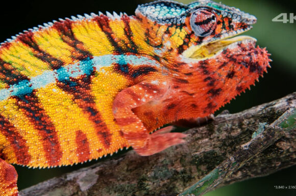 Sony Another World.png