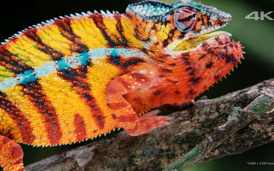 Sony Another World.png