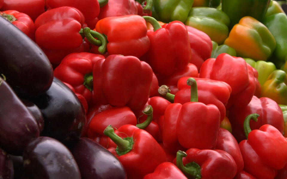 Sony HD Demo Paris.png